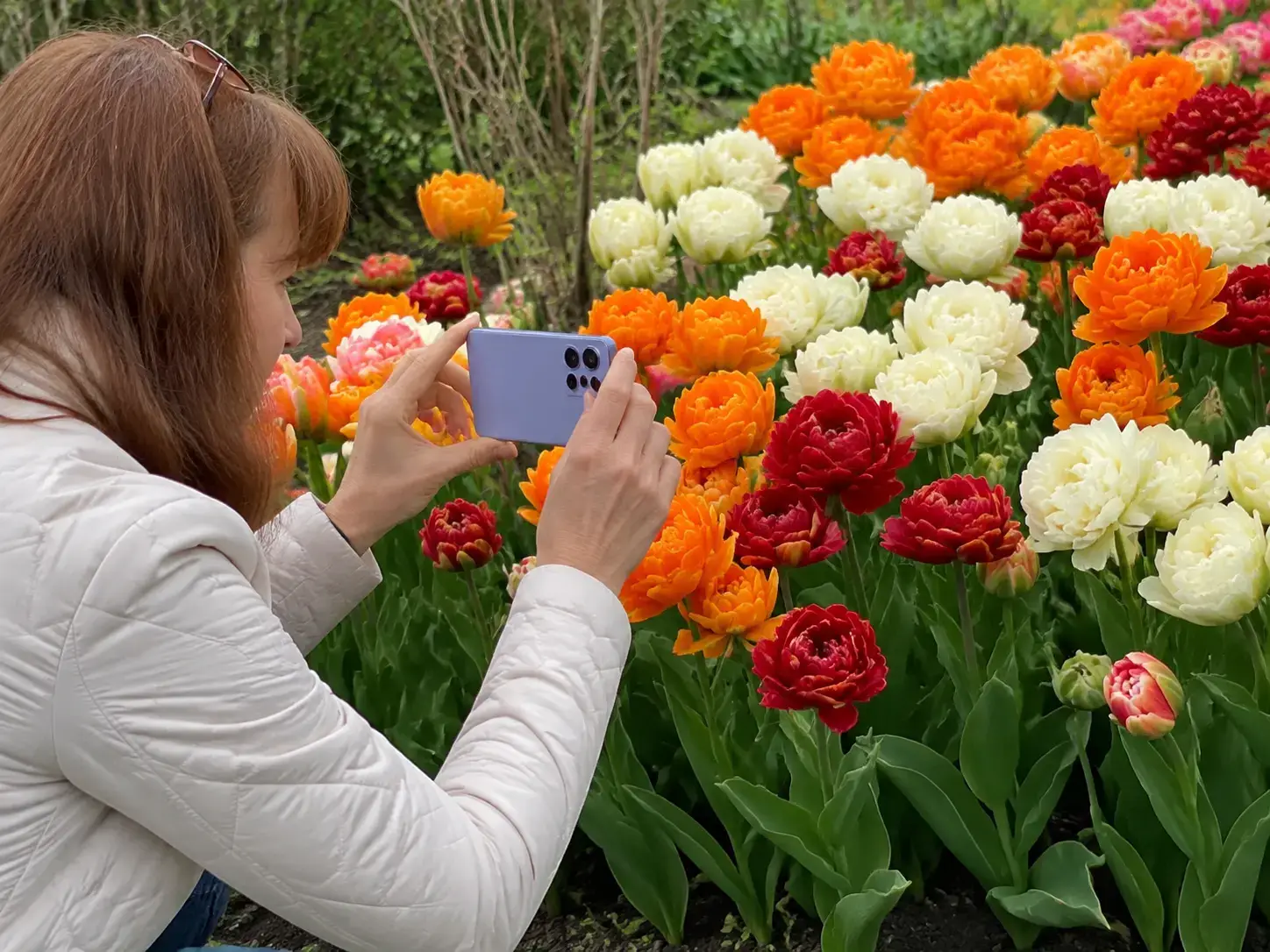 Жінка фотографує махрові тюльпани